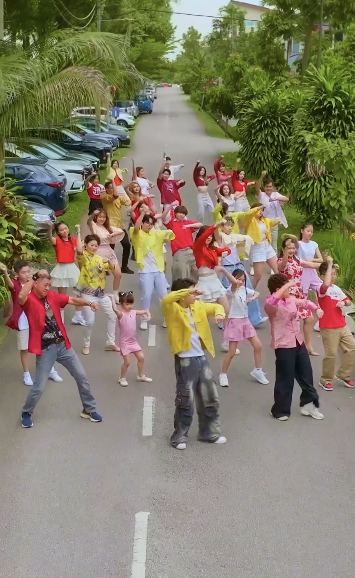 MR.DIY CHOTTO MATTE KUDASAI