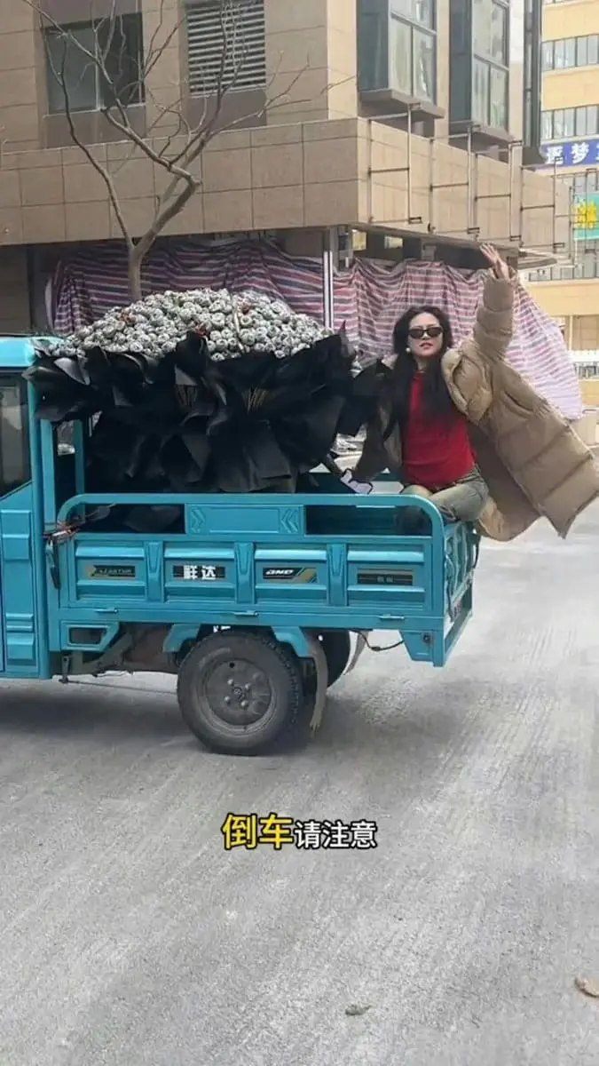 Ms Pan and her steel wool rose