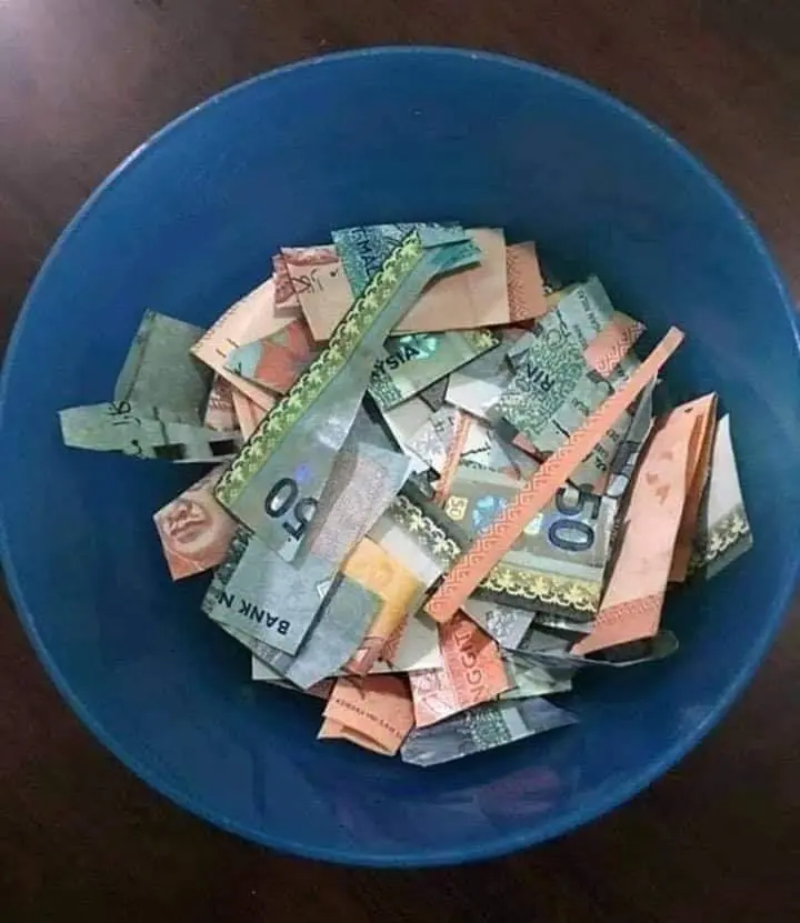 M'sian Boy Cuts Up Grandpa's Pension Money To Use For His 'Masak-Masak’ Game 6