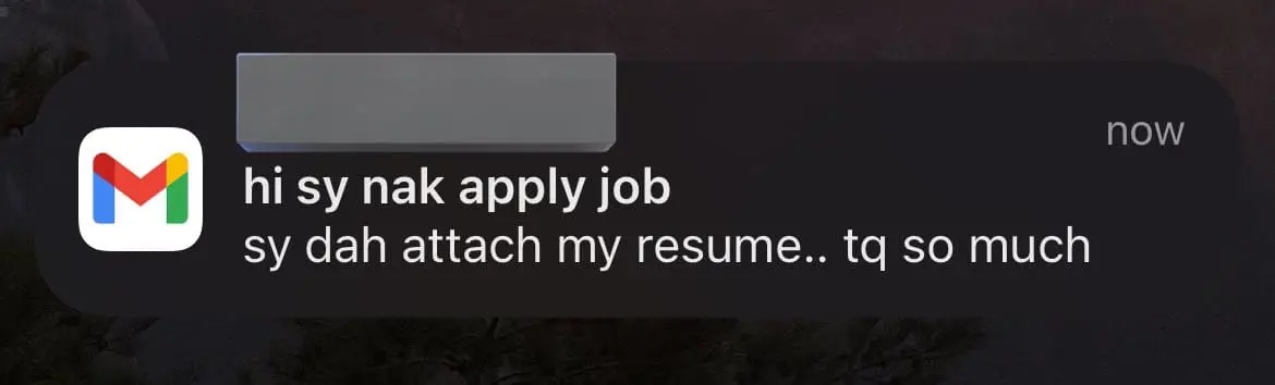 M'sian candidate's super casual job application