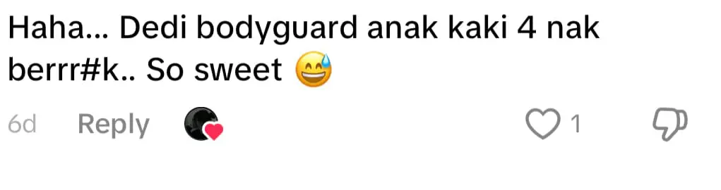 M'sian Couple Pulls Over So Their Kitten Can Poop In The ‘Perfect’ Spot comment