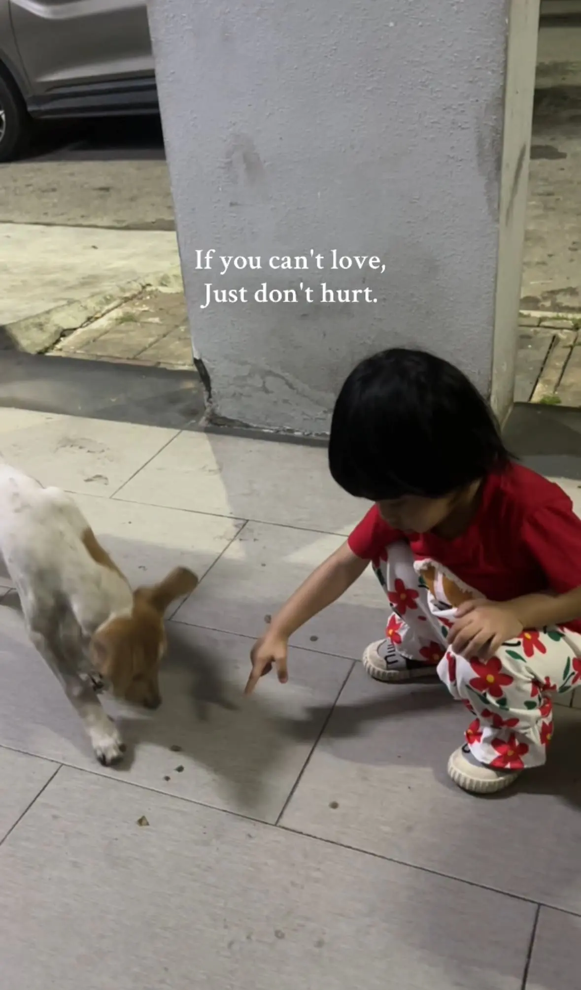 M’sian Family Feeds Stray Dogs With Daughter