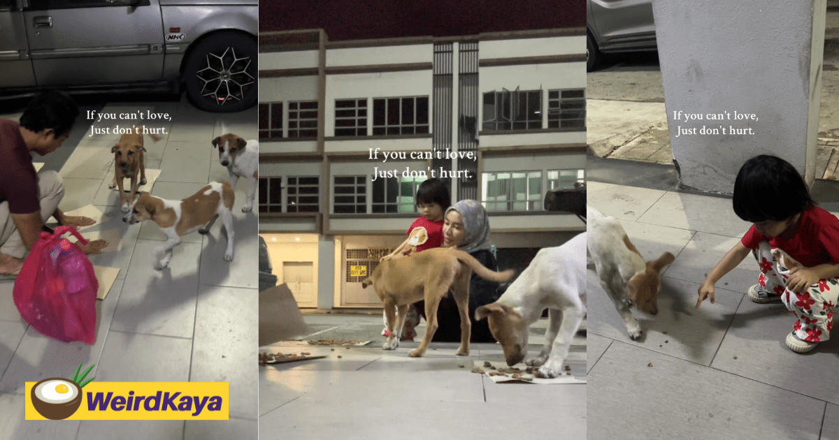 M’sian Family Feeds Stray Dogs With Daughter To Teach Her How To Treat Them With Love