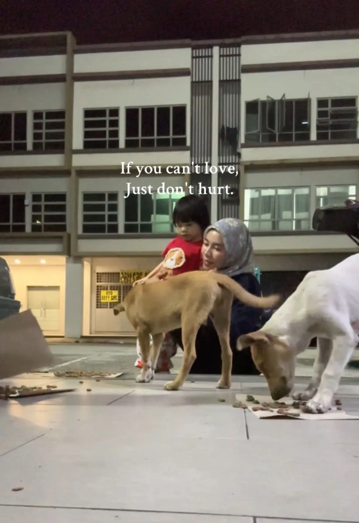 M’sian Family Feeds Stray Dogs With Daughter