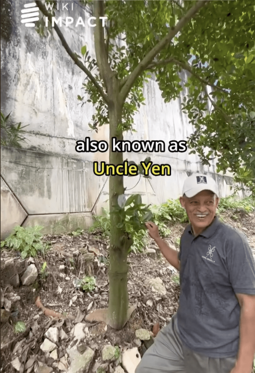 M'sian Father Sets Up Urban Orchard To Cope With His Son's Passing 5