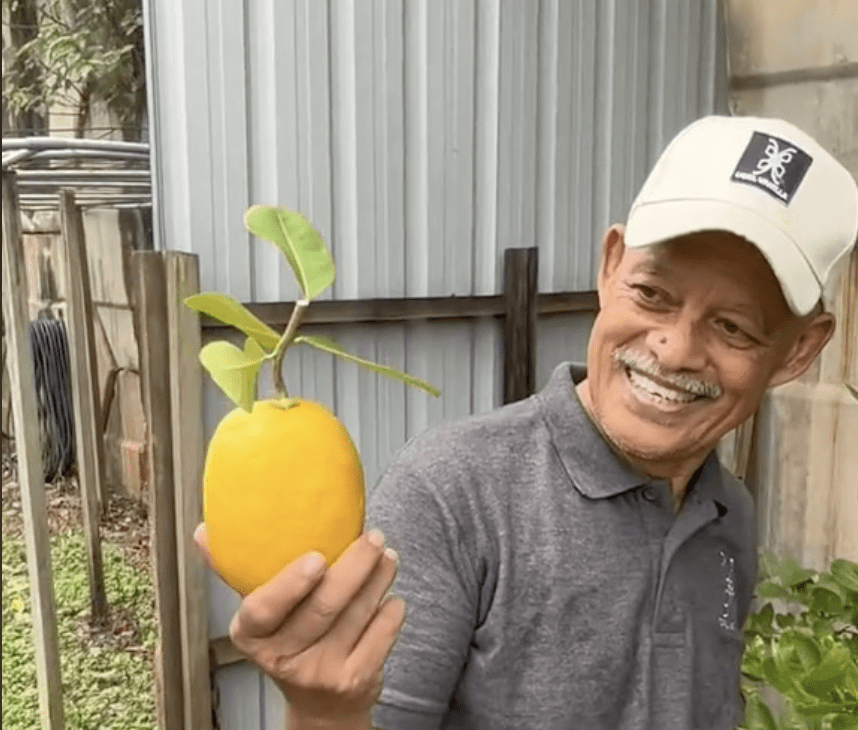 M'sian Father Sets Up Urban Orchard To Cope With His Son's Passing