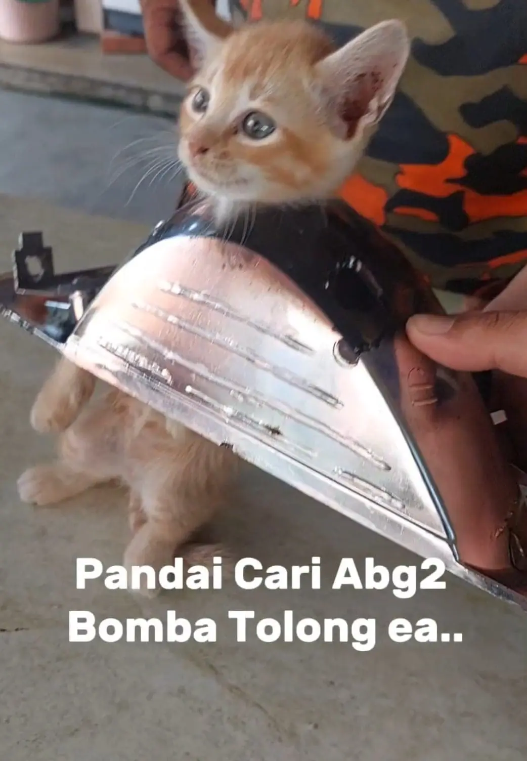 M’sian Firefighters Rescue Oyen With Head Stuck In Metal Ring & It Looks Completely Unbothered