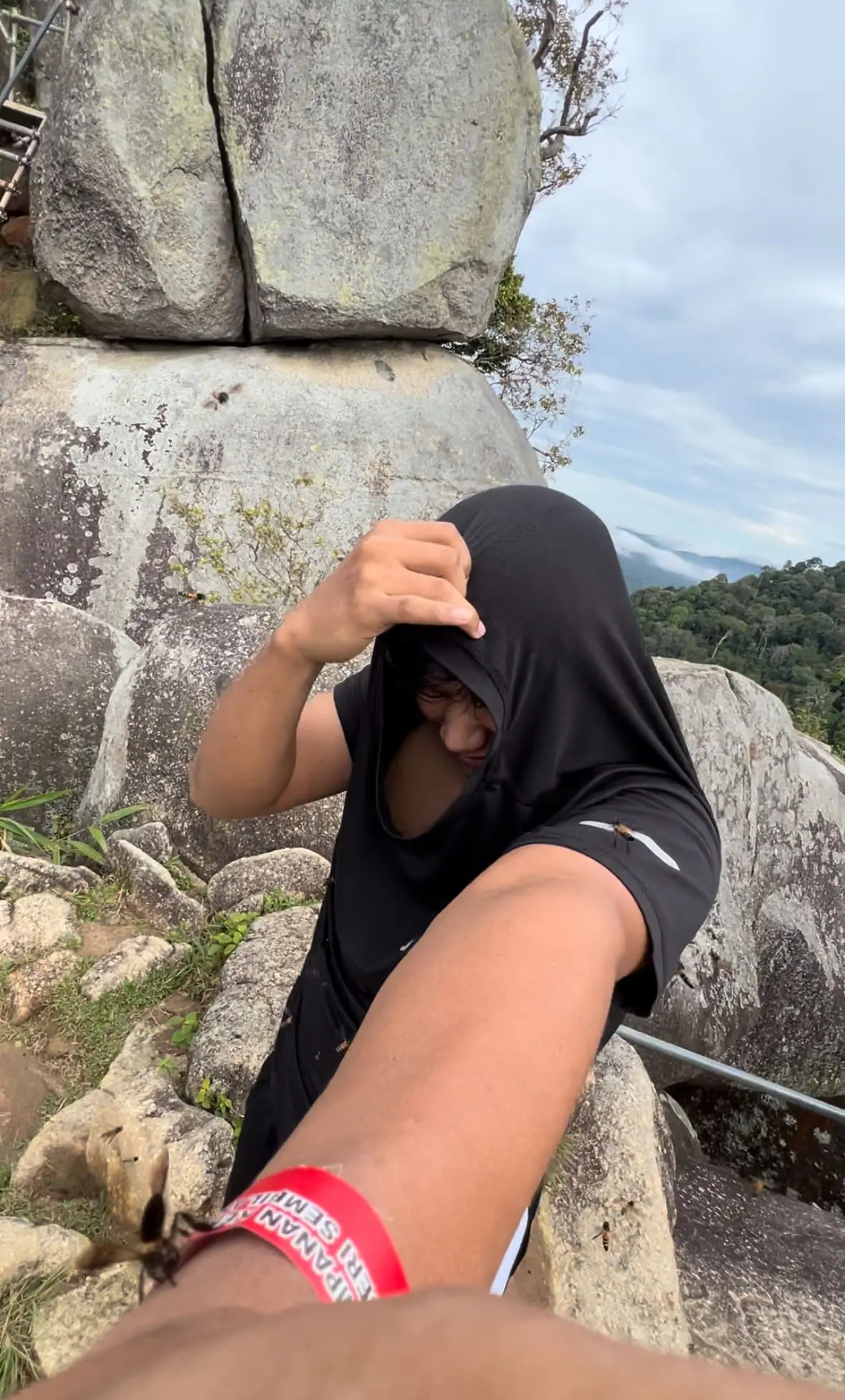 M’sian Hikers Choose Laughter Over Panic When Swarmed By Bees At The Peak