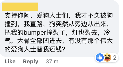 M'sian man hits dog with no regrets_comment 03