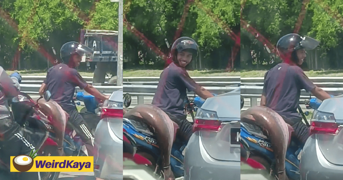 M'sian Man's So Proud Of Giant Fish He Caught That He 'Tumpangs' It At The Back Of Motorbike
