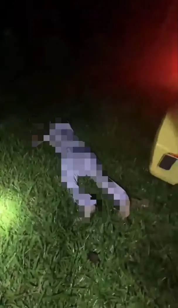 M'sian nurse found lying unconscious beside her car