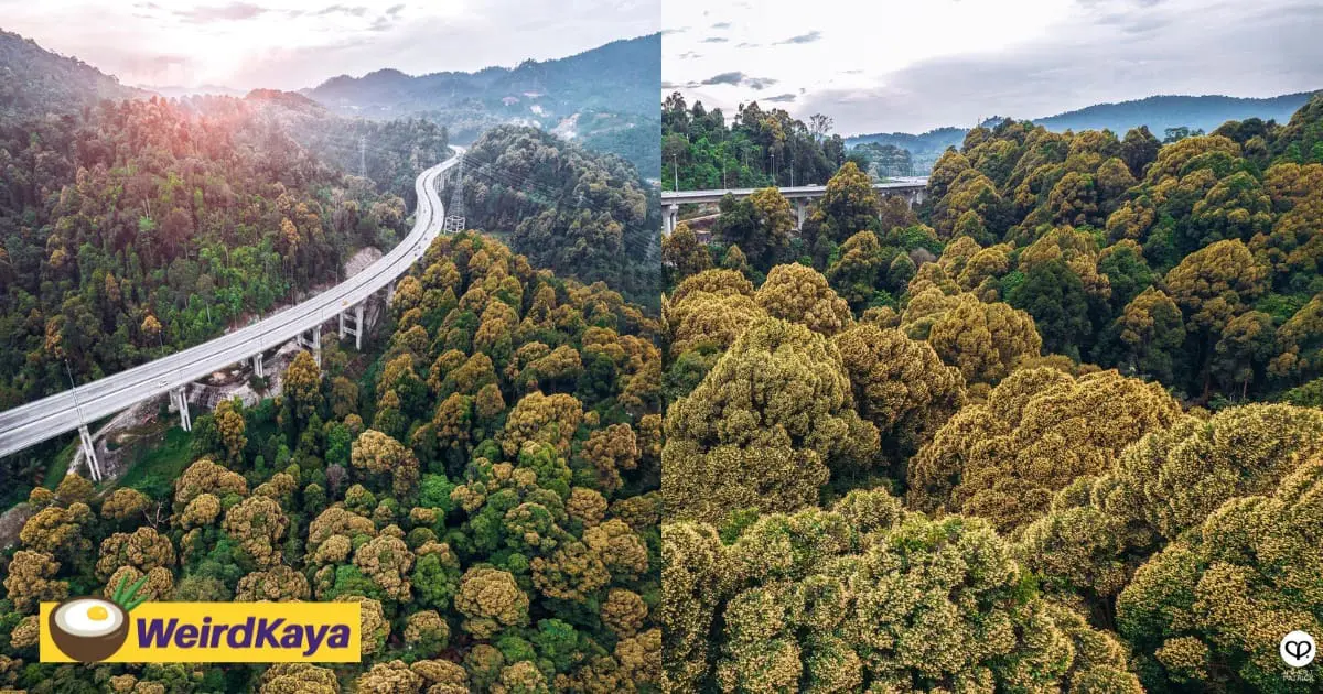 M'sian Photographer Amazes Netizens With Stunning Shots Of Rawang Bypass Shared By Tourism Malaysia 