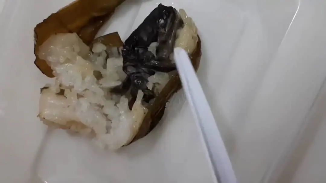 msian picking dead from inside lemang with fork