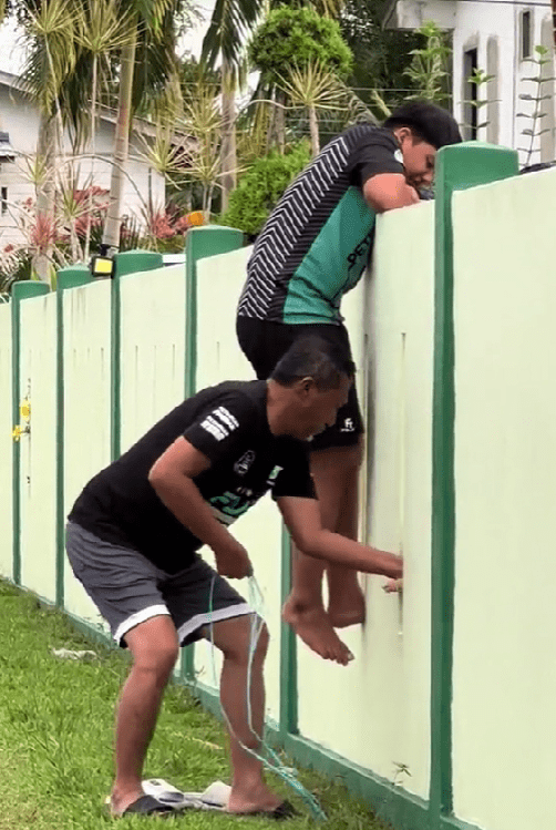 msian pulling cat's paw