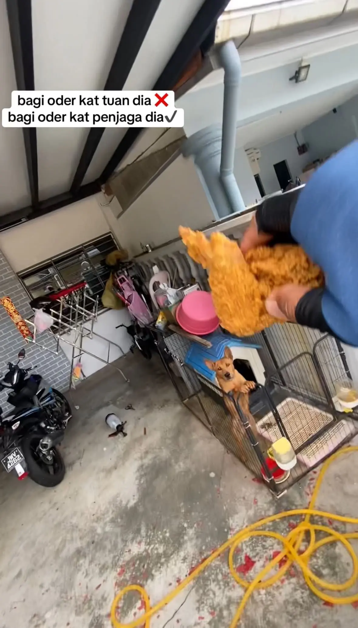 M’sian Rider Helps Feed Dog After Owner Orders Fried Chicken While Away