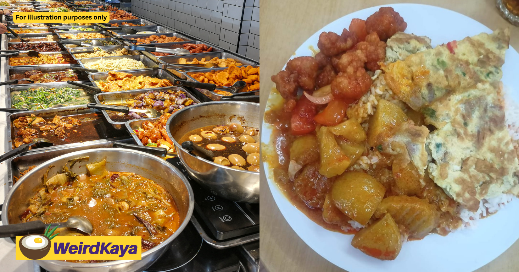 M'sian Shocked By Plate Of RM19 Mixed Rice He Ordered At Kepong