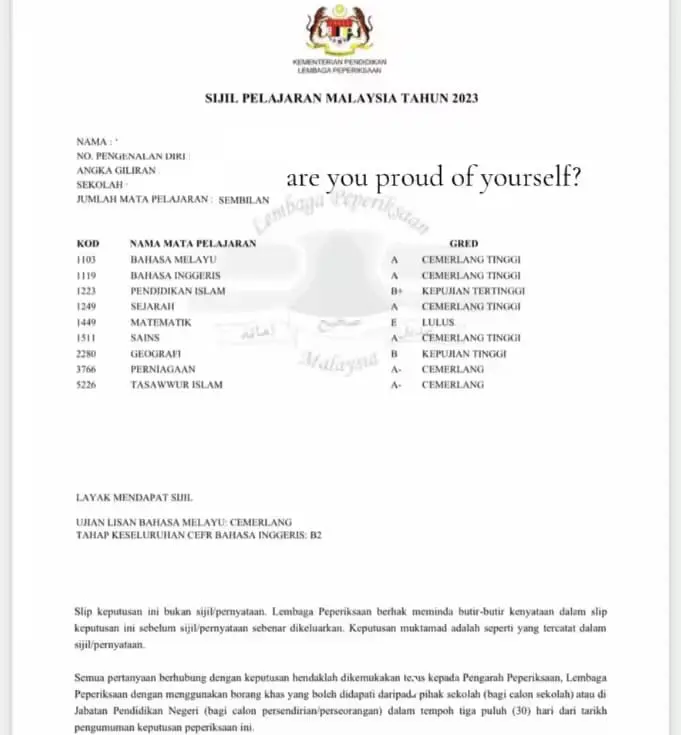 M'sian student shows SPM results on TikTok