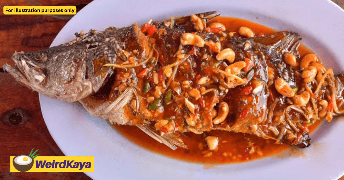 M'sian Teen Falls Into RM13K Debt With Ah Longs To Fulfil GF's 'Ikan Siakap' Craving