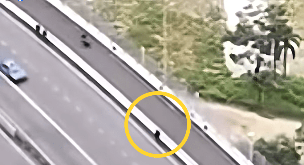 M'sian walking along the Causeway