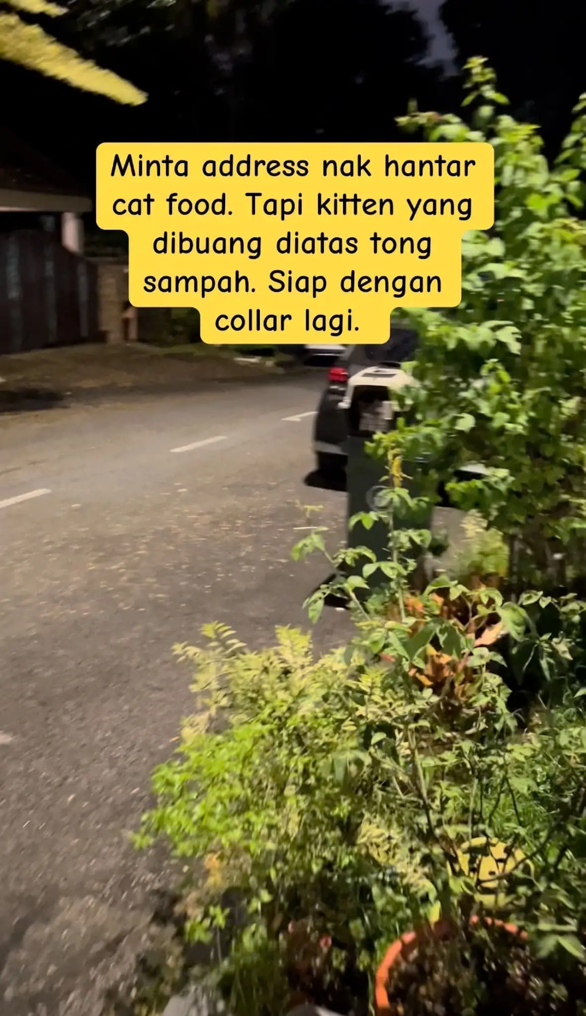 M'sian Woman Misled By Person Claiming To Donate Cat Food But Ended Up Dumping Kittens Instead