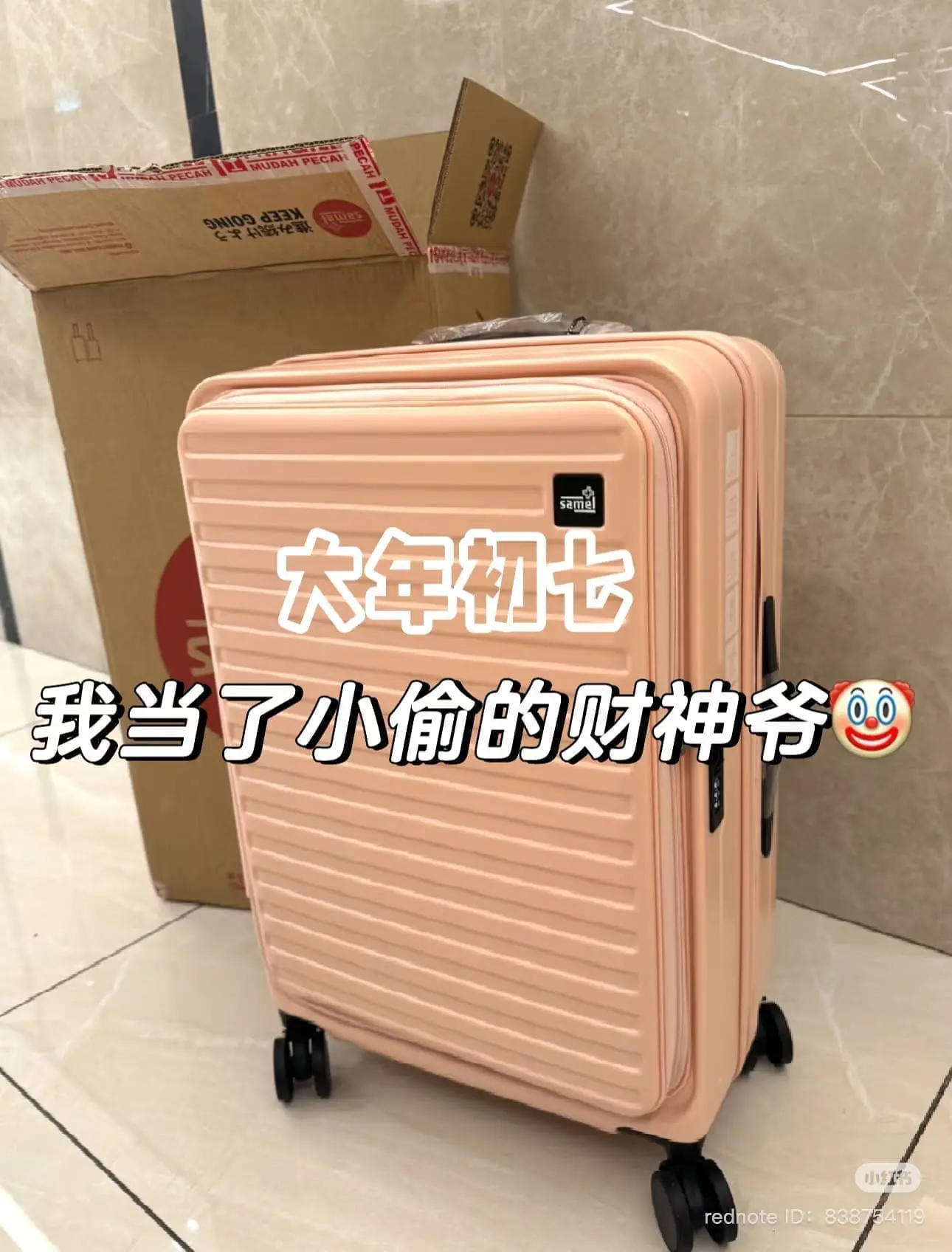 M'sian woman's luggage