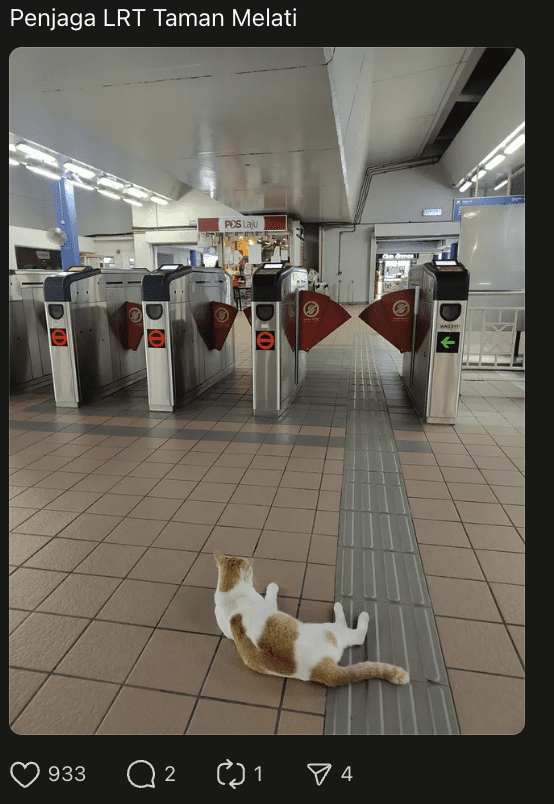 M’sians Spot Another Cat At LRT Taman Melati That Loves Watching Buskers Perform