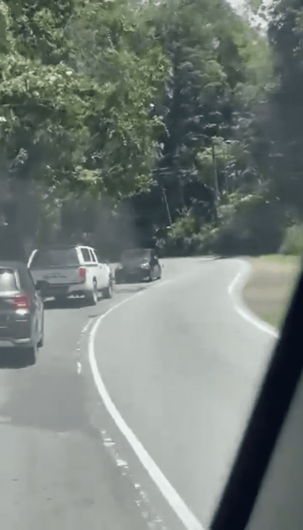 Myvi drives backwards