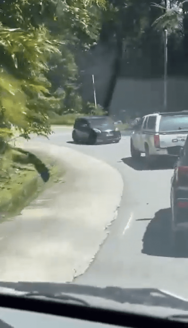 Myvi seen driving in reverse