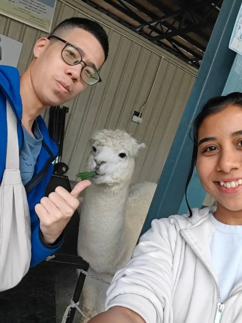 narsheera and nicholas taking slefie with alpaca