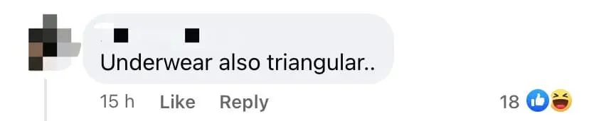 nasi lemak conspiracy 02