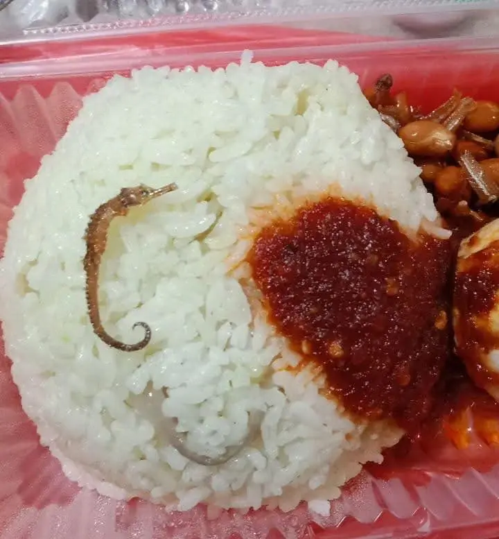 Nasi Lemak Sea Horse