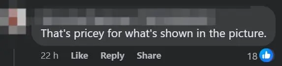 'Not Worth It' — M'sian Woman Shocked By RM17 Bill For Her Meal At Subang Eatery