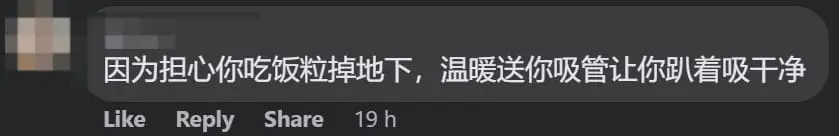 M'sian Man Amused To See A Straw Being Given Instead Of A Spoon For His Chicken Rice
