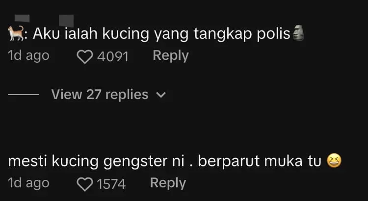 netizen comment- Cat Casually Chills On Top Of Police Car In Port Dickson Like A Boss