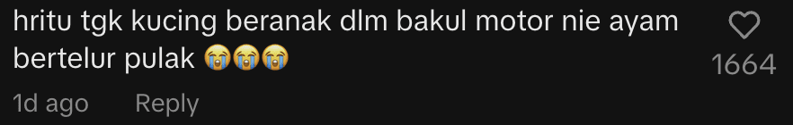 netizen comment- M’sian Amused To Find Hen Laying Eggs Inside His Motorcycle Basket 1