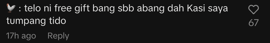 netizen comment- M’sian Amused To Find Hen Laying Eggs Inside His Motorcycle Basket 5