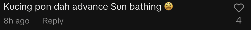 netizen comment-M’sian Installs Sunroof For Car, But Cat Turns It Into Hammock For Sunbathing