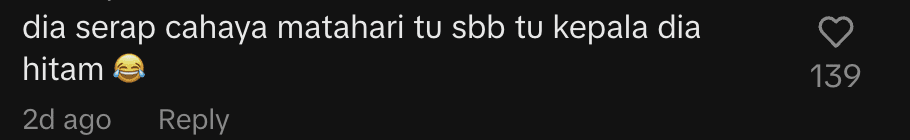 netizen comment-M’sian Installs Sunroof For Car, But Cat Turns It Into Hammock For Sunbathing