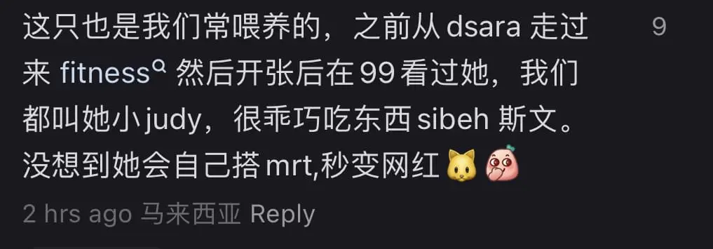 This image has an empty alt attribute; its file name is netizen-comment-she-works-9-to-5-too-cat-casually-takes-a-ride-at-women-only-coach-as-though-it-belongs-there.jpg