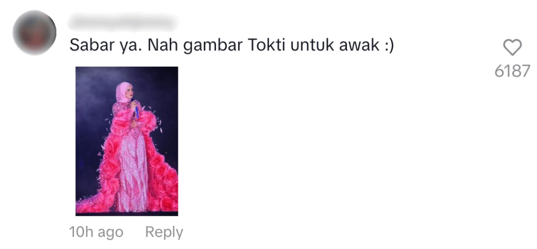 Netizen shares Siti Nurhaliza concert photos 2