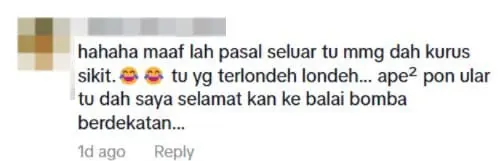 netizen's comment on tiktok video