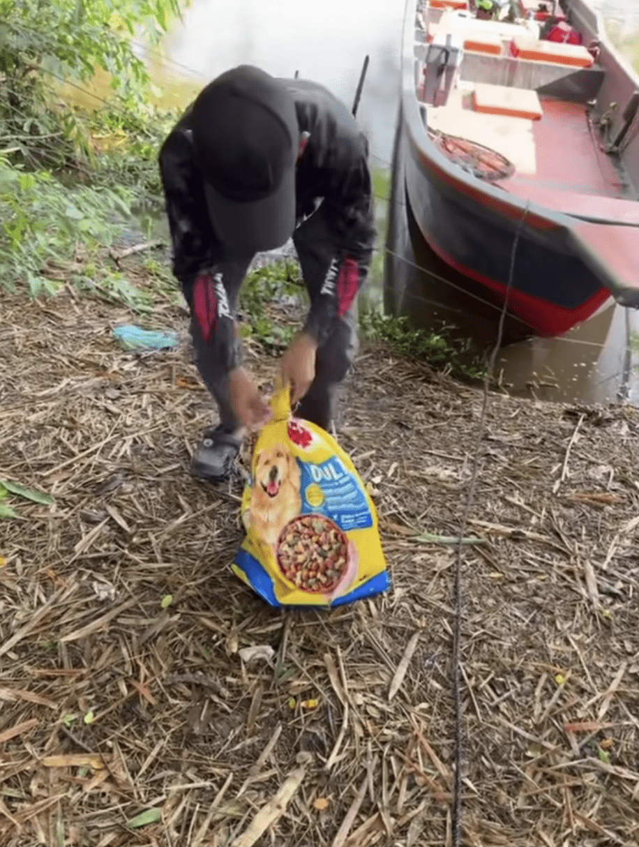 Newborn Kittens Found Wrapped In A Bag And Thrown Into River In Penang 11
