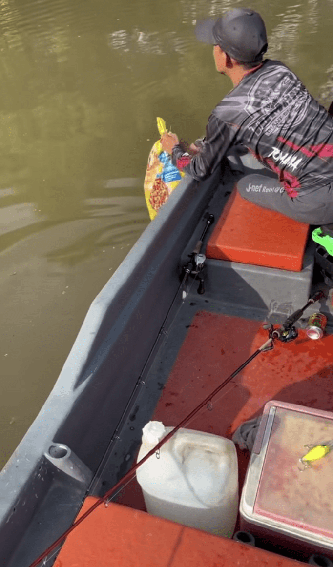 Newborn Kittens Found Wrapped In A Bag And Thrown Into River In Penang 2