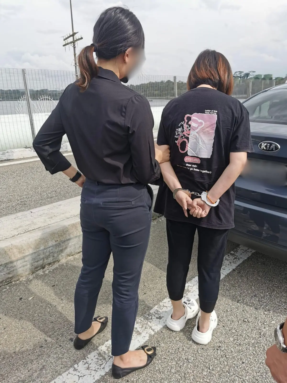 Ng Teck Lee's wife arrested in JB