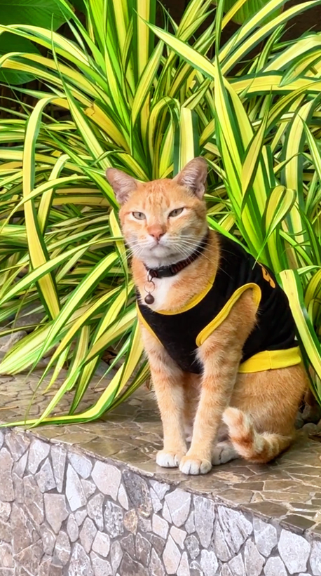 oyen security guard at the waterfront hotel kuching