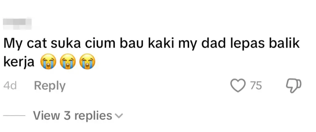 oyen sniffs netizen comment 1