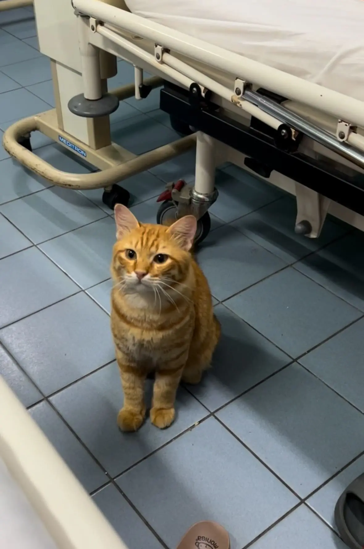 oyen walks into hospita ward 3