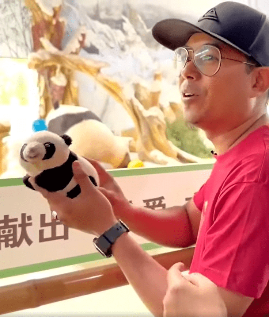 Panda pillow when it was a baby