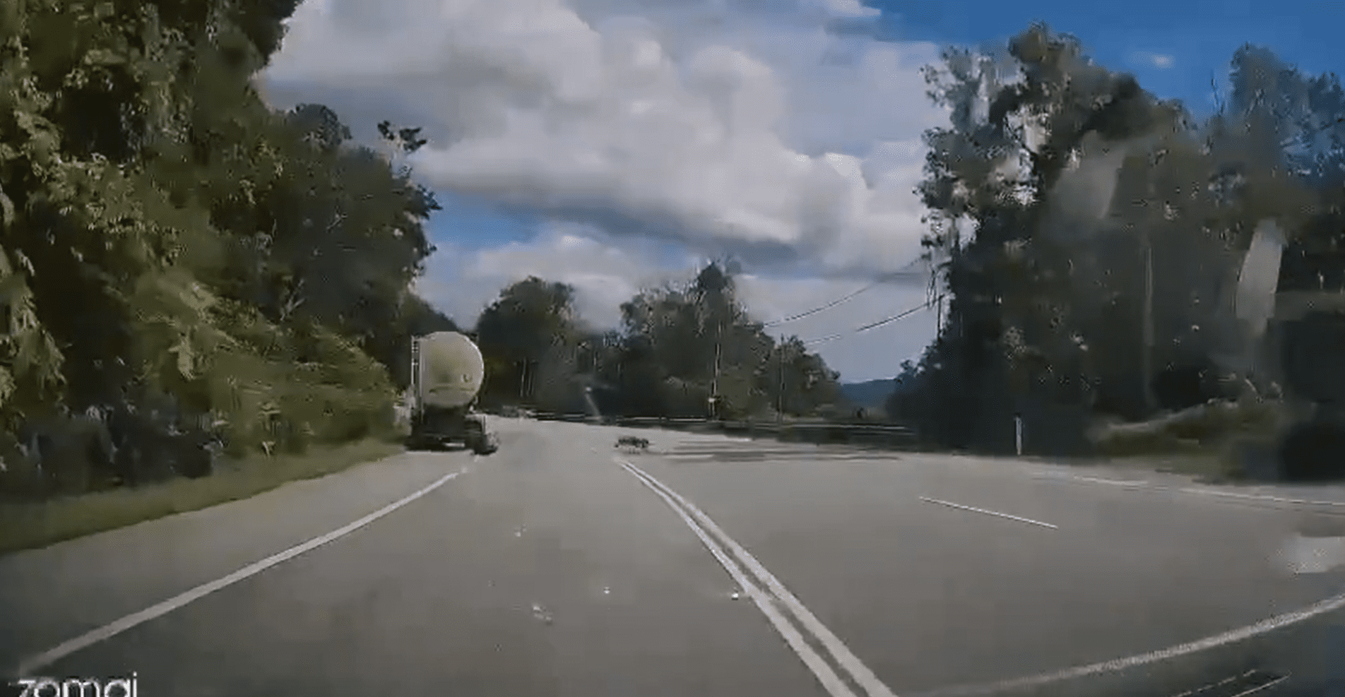 Panther runs after attacking man