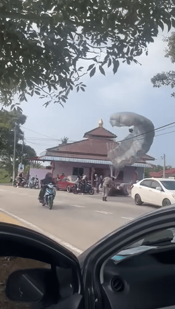 Paratrooper crashes into woman